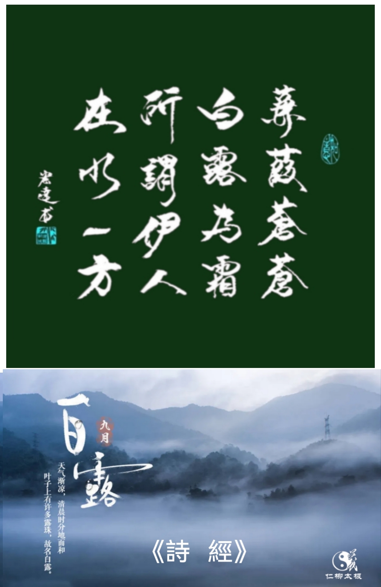 《诗经·蒹葭》 蒹葭苍苍,白露为霜. 所谓伊人,在水一方