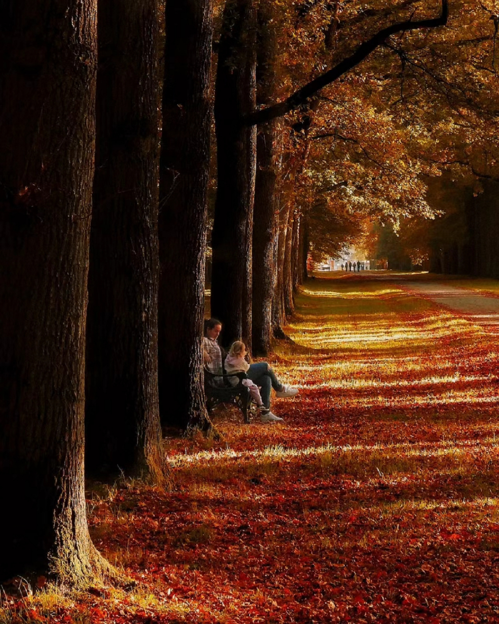 悲秋综合征是指在秋天因景色萧瑟而产生的凄凉,苦闷,焦虑,抑郁等情绪