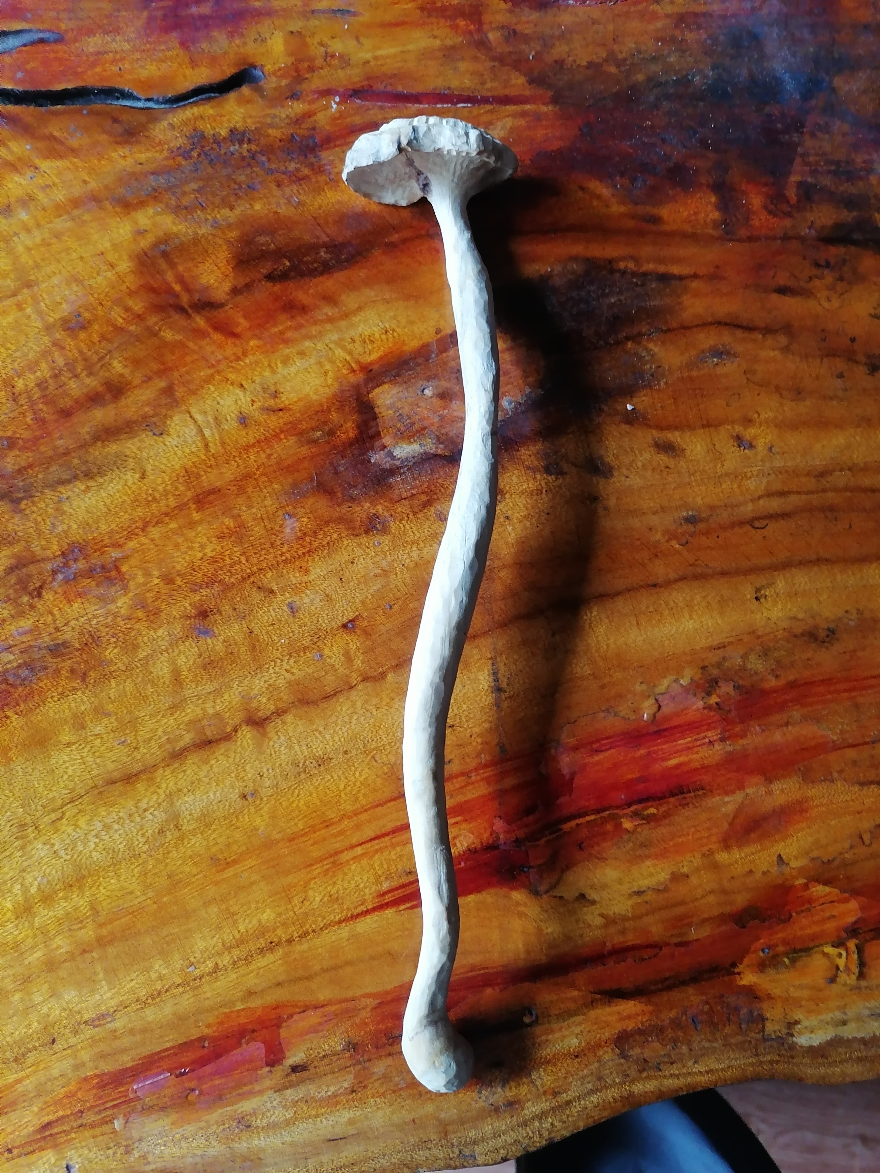 (灵芝如意),从这个作品开始,将以美为基础施艺,不管是自然的还是社会
