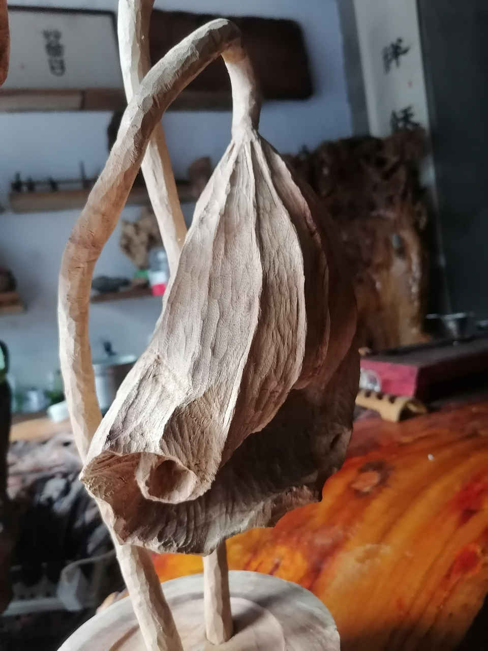 ,我的思念全在这里了,曾经美好的过往!