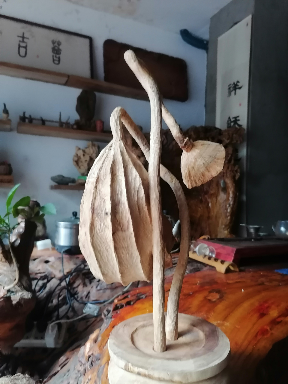 ,我的思念全在这里了,曾经美好的过往!