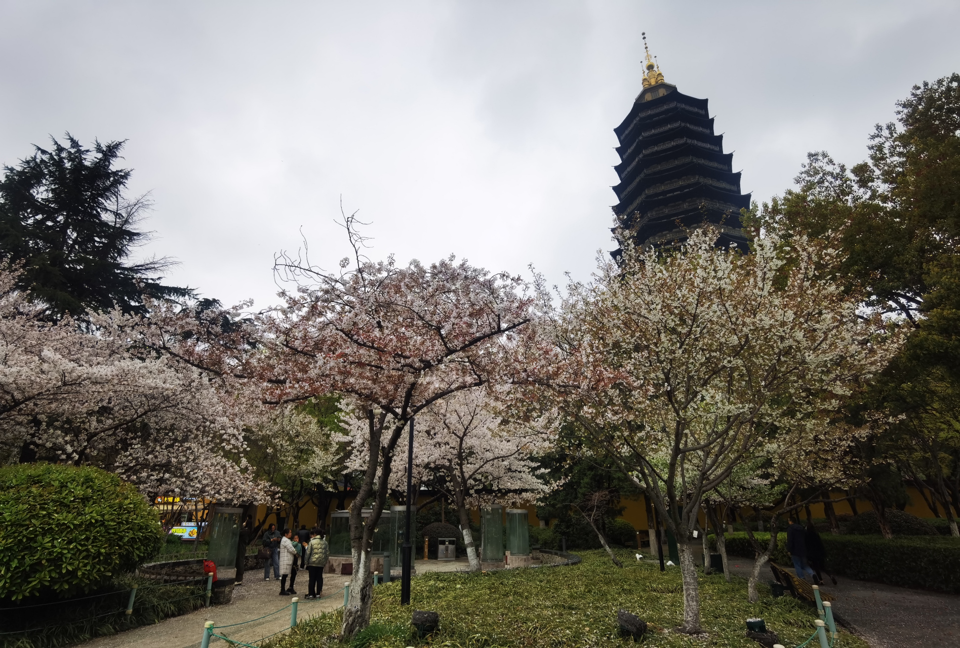 千年的古寺,魅力的天寧.關鍵現在還免費!