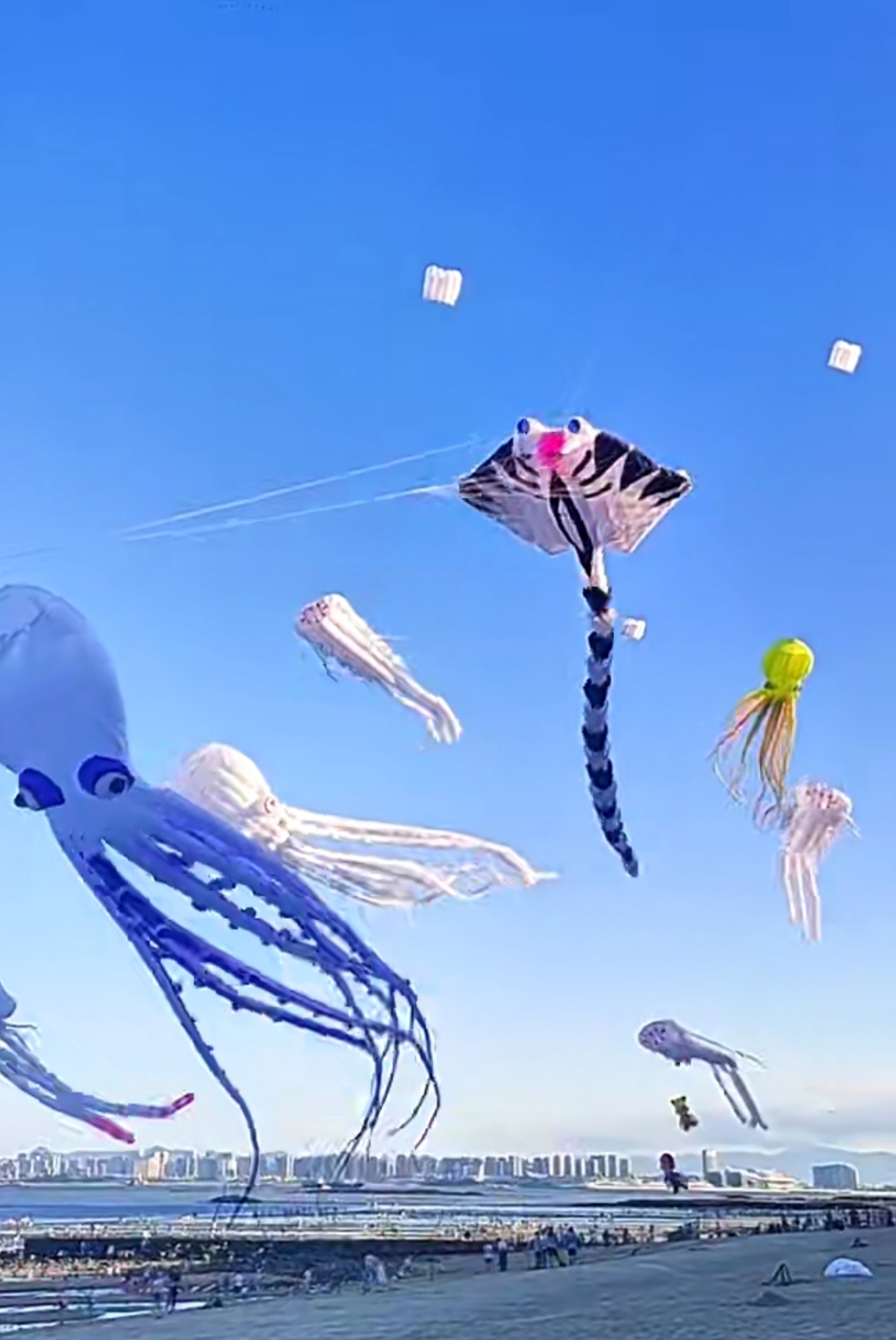 哇,海边的风筝节太热闹了,我的眼睛都忙不过来了!