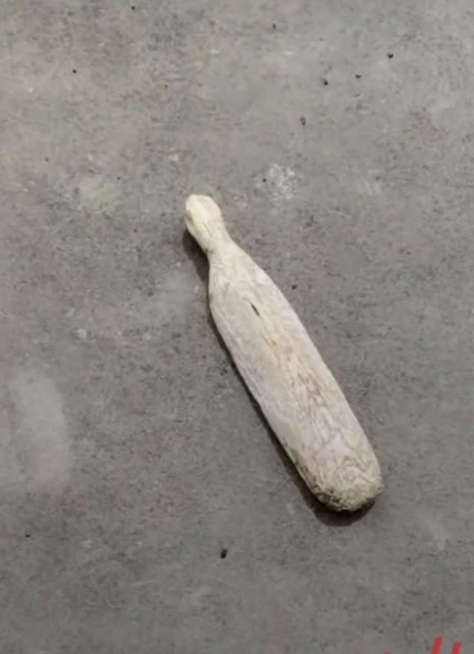 中华五千年洗衣服的用的棒锤桐城方言"盲锤"