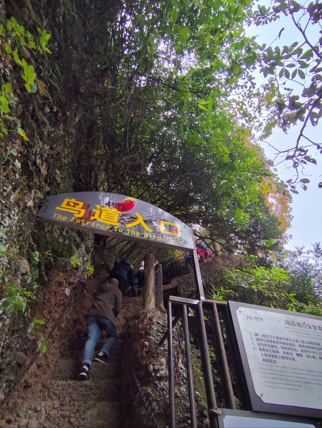 剑门关鸟道介绍图片