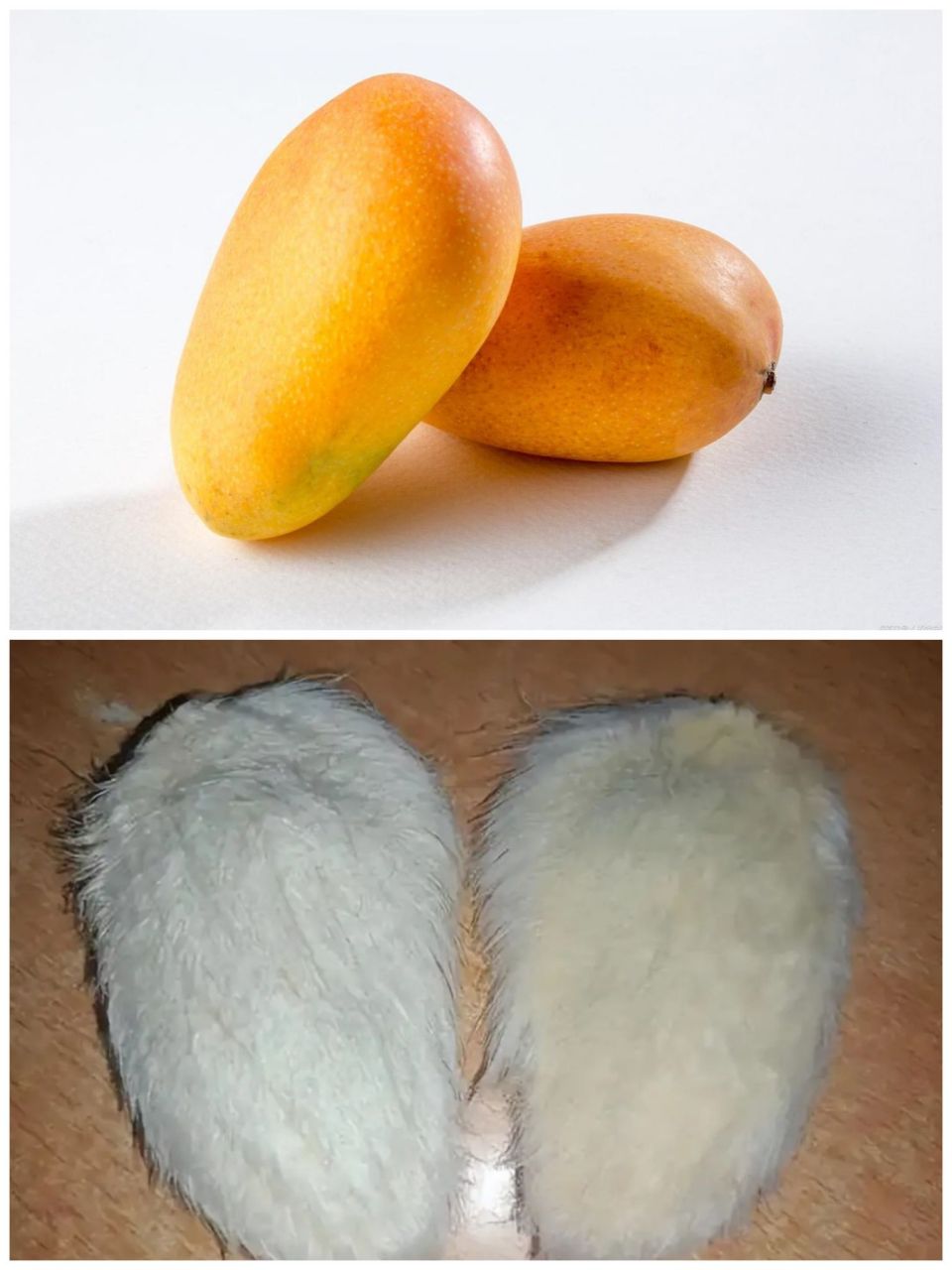 你会把芒果核当宠物养吗?        不得不说,现在的年轻人真会玩!