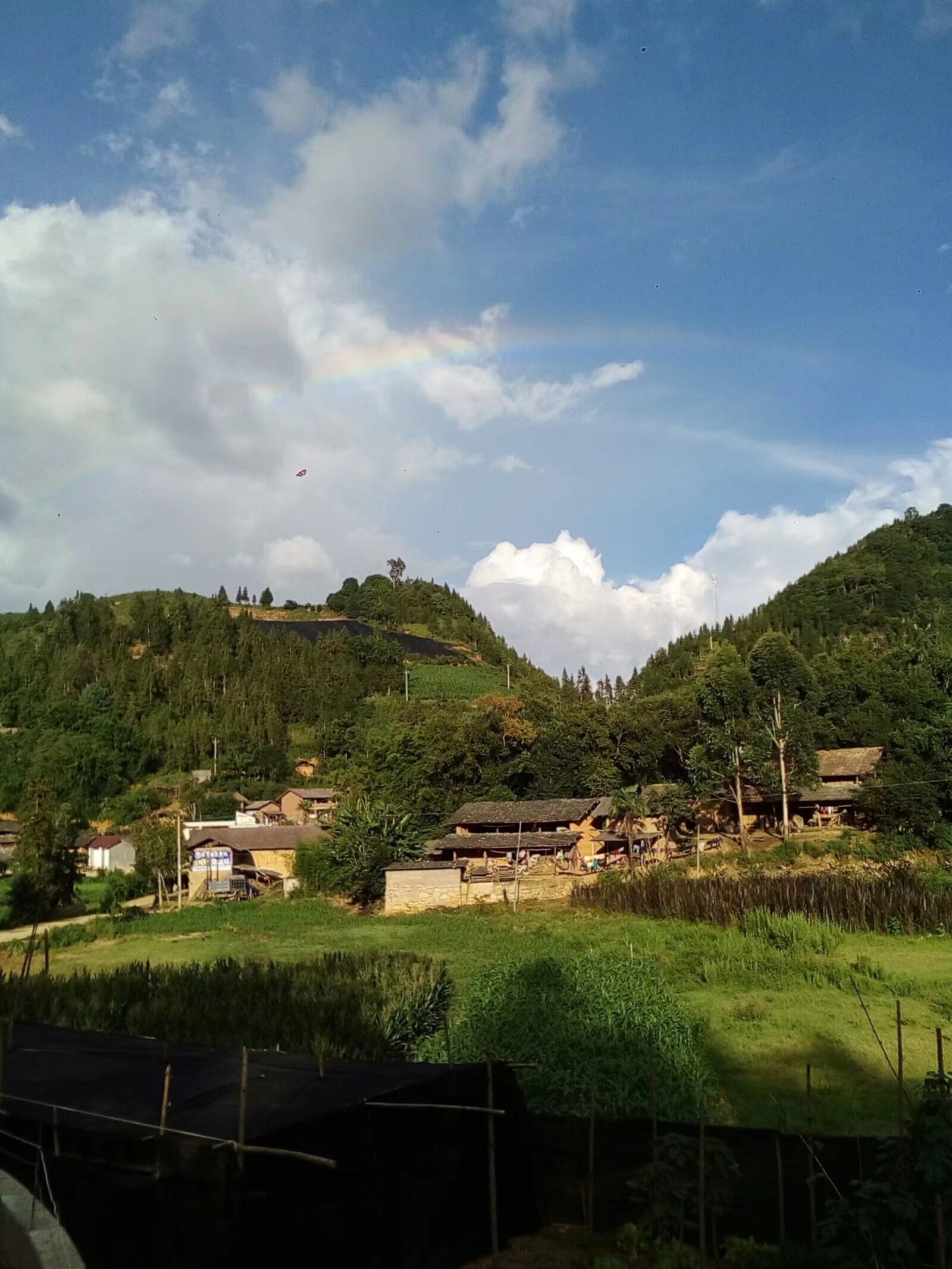 蒙自市芷村镇图片