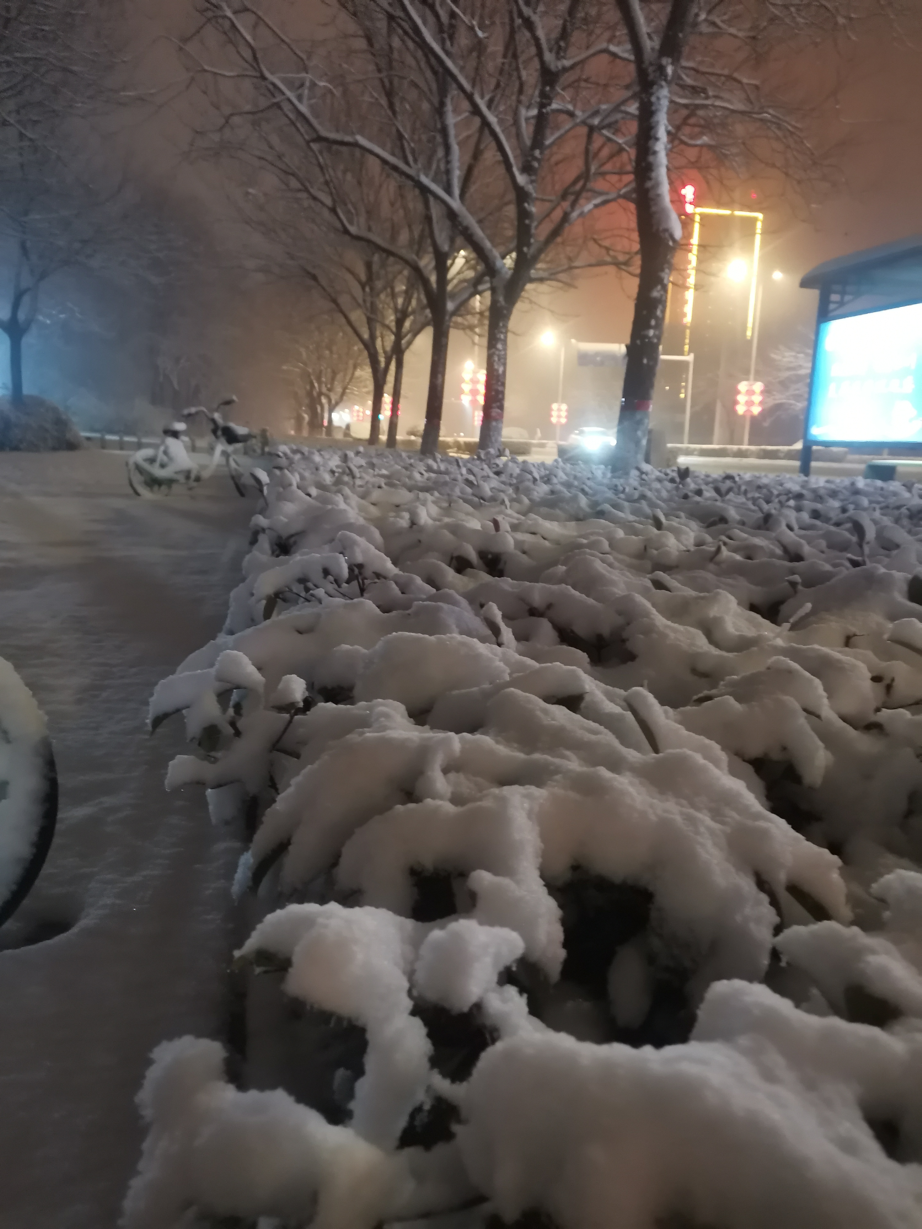 冷的夜景图片唯美图片