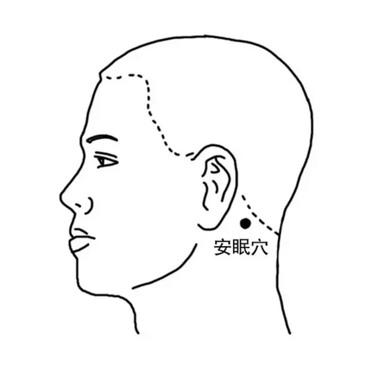 耳后的安眠穴 安眠穴位于耳后高骨后方凹陷处 洗澡的时候按揉两分钟