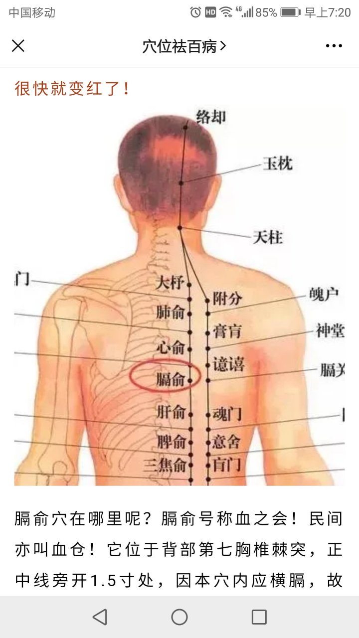 膈俞穴在哪里呢?膈俞号称血之会!民间亦叫血仓!它位于背部第七胸椎棘