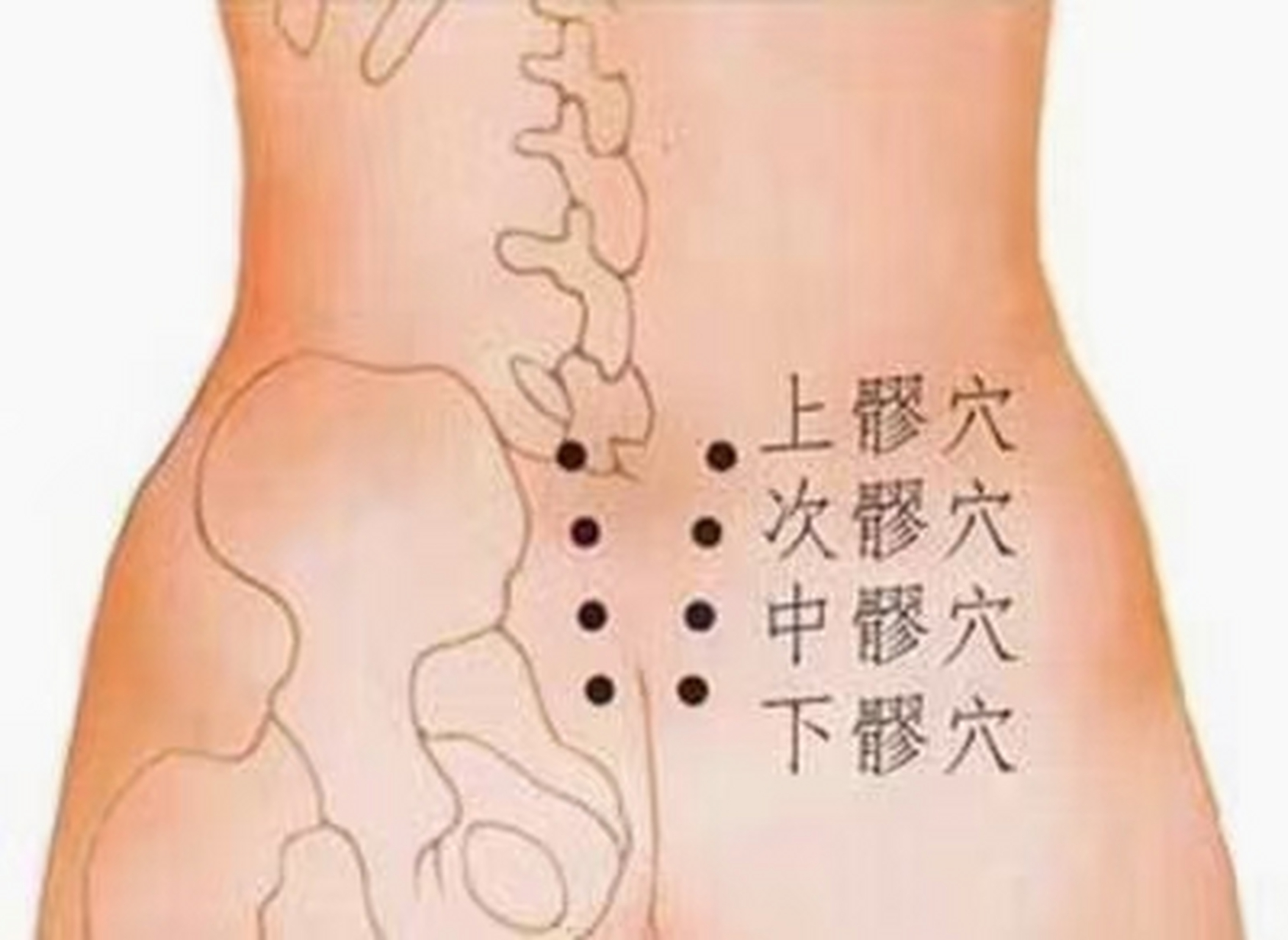 八髎穴(男怕薄女怕鼓 这个穴位软乎了,男人强壮,女人漂亮,但这个穴