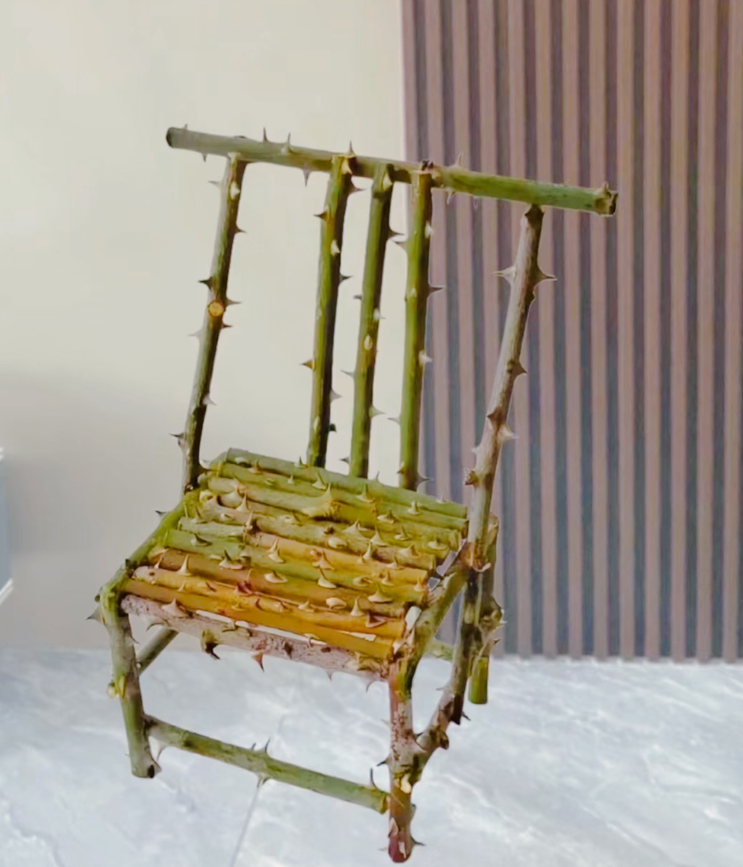 非常感谢我的长满刺的椅子图片有刺的凳子图片长刺的凳子全是刺的