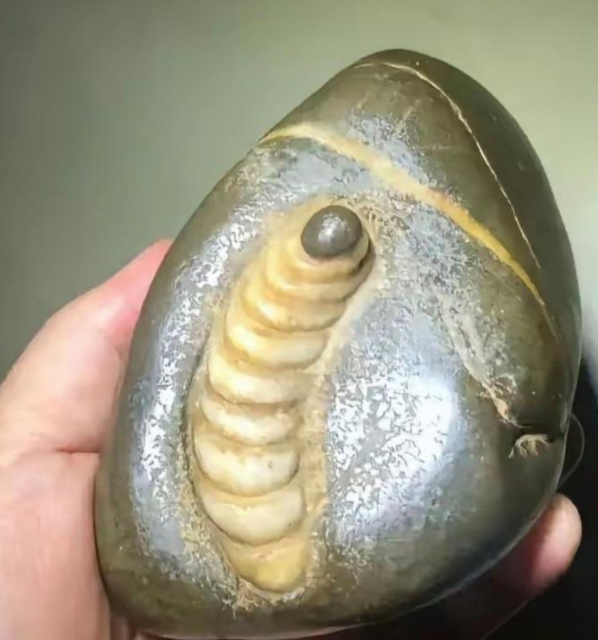 要是真特别值钱,那我发小可就赚大啦