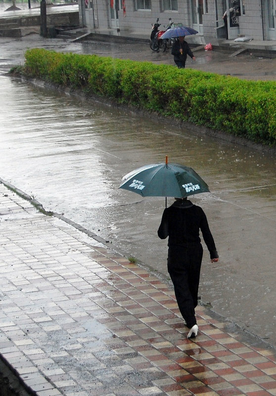 这几天老家下了大暴雨,这时不仅想起了在百度,头条一些"明白"人的高见