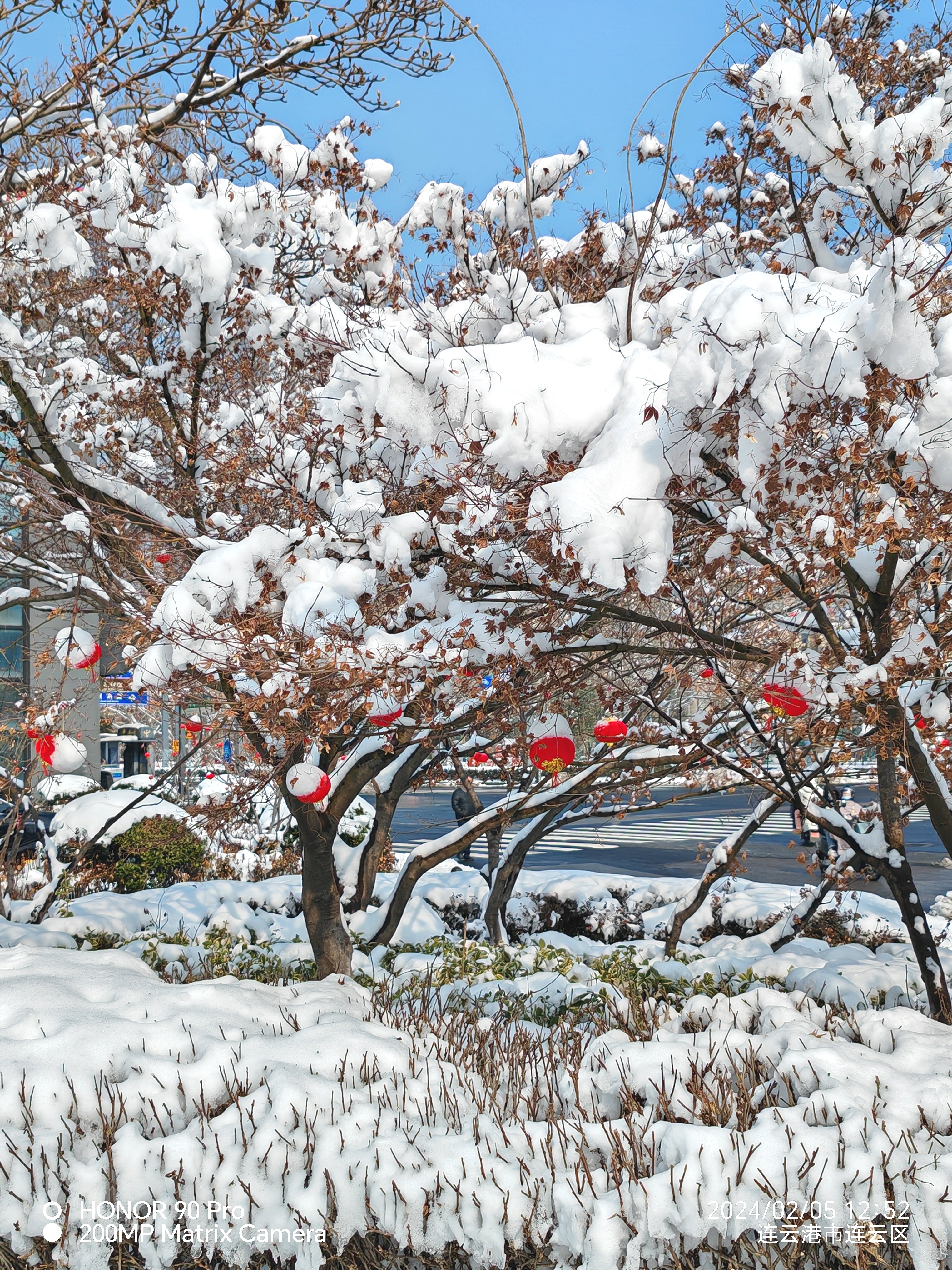 千年迎新春瑞雪兆丰年图片