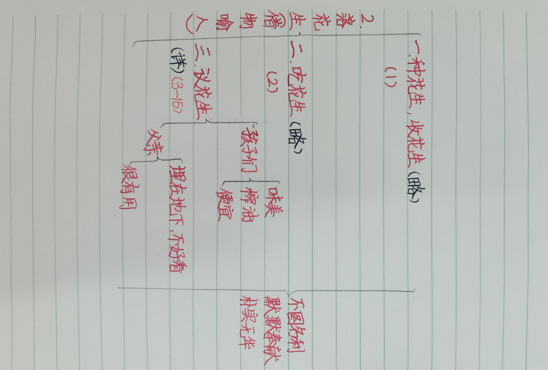 五上语文第2课《落花生》板书,仅供参考.
