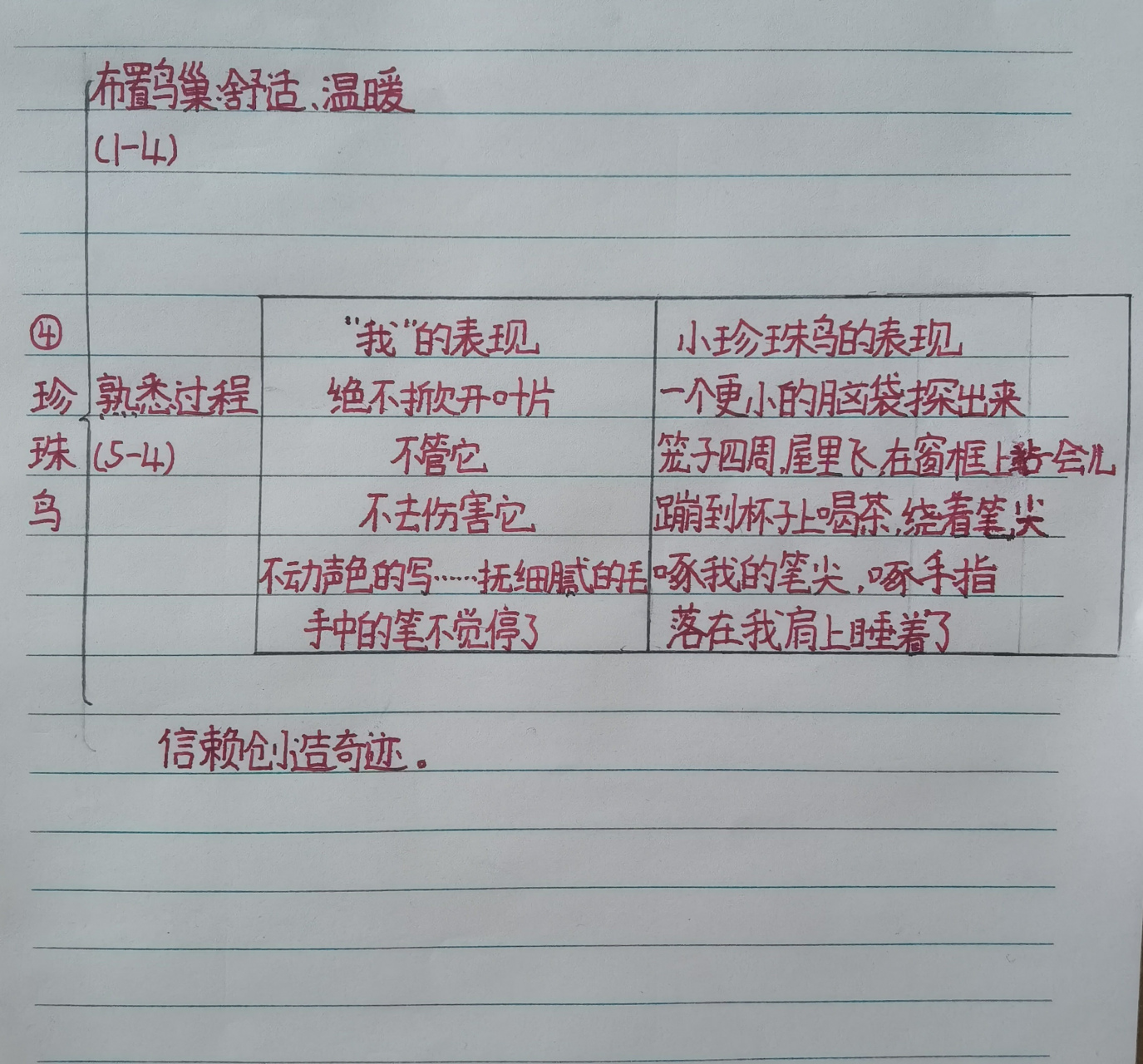 珍珠鸟板书设计 优秀图片