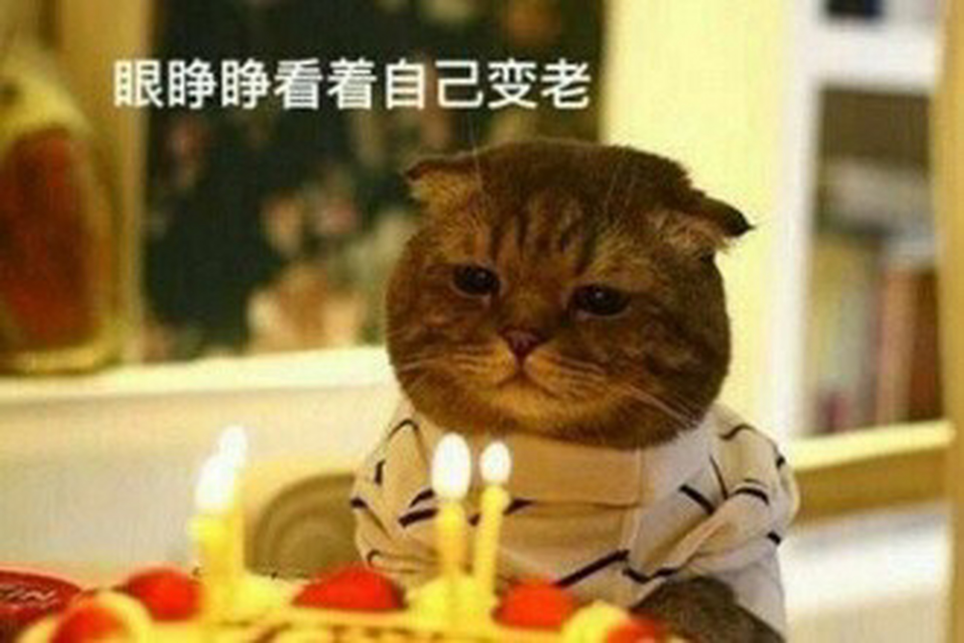 祝孩子又老了一岁(划掉)生日快乐