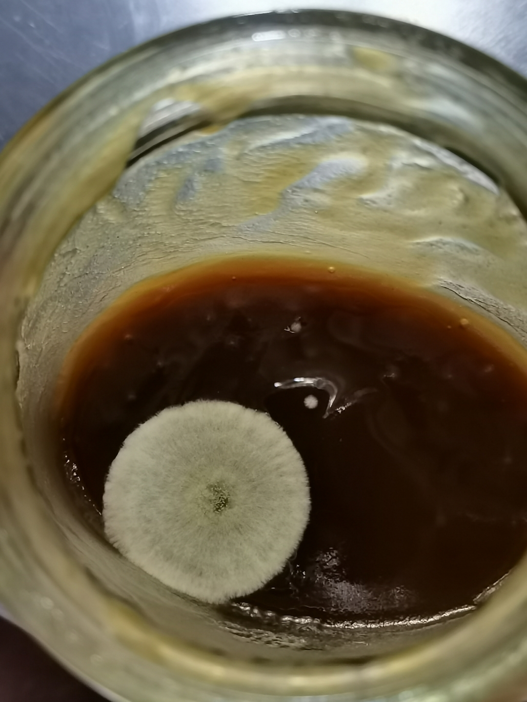 蜂蜜会烂吗(蜂蜜会不会坏掉)