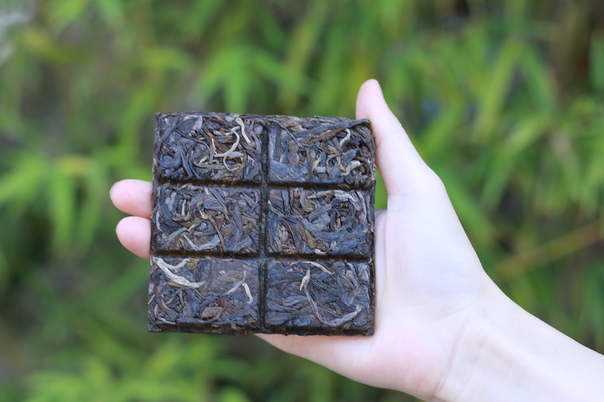 普洱茶界黑马--小荒田 小荒田是近年来勐库茶区最有潜能的茶山,目前