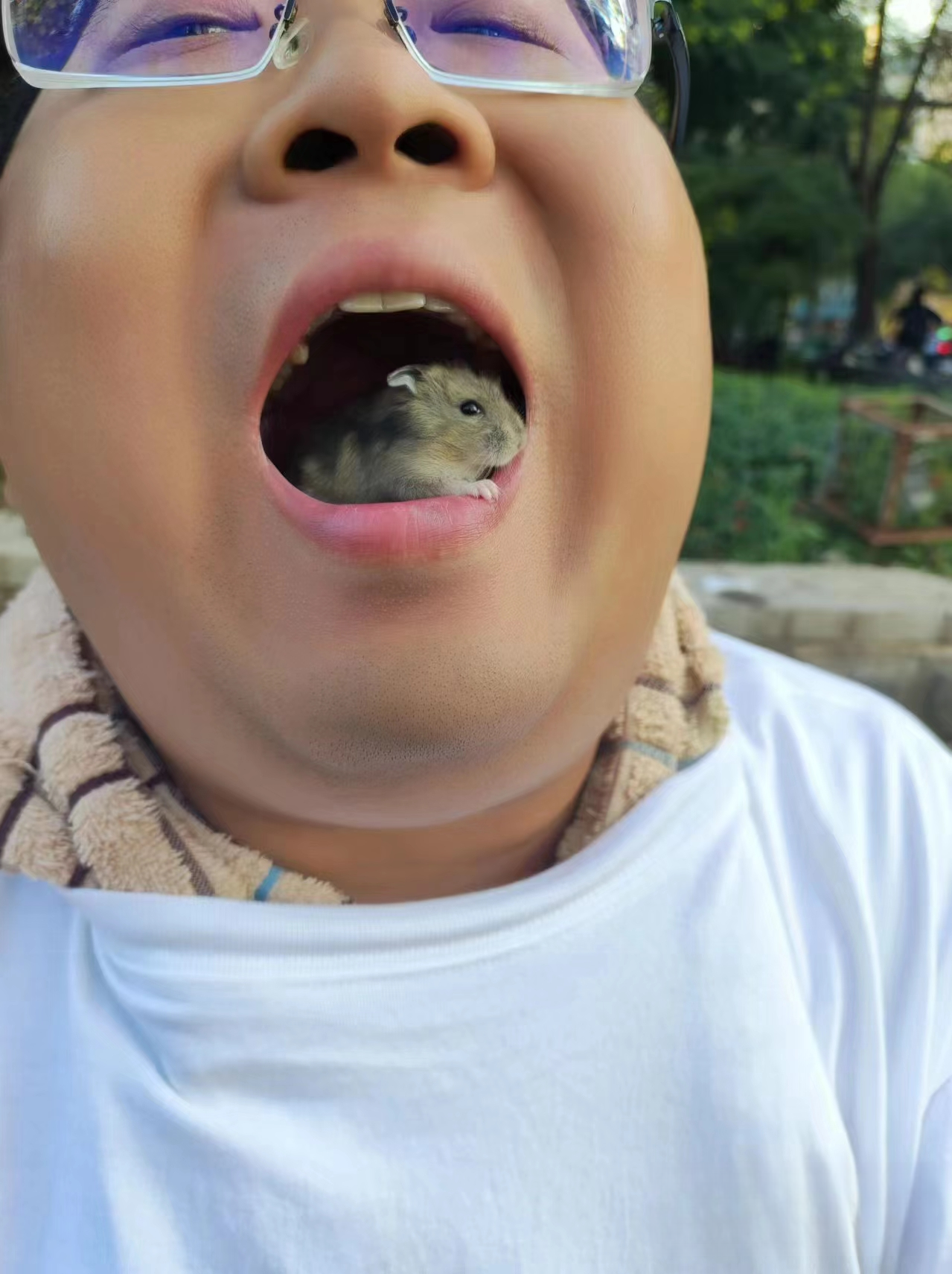 什么都能干的出来,卖仓鼠,摆拍摆拍,放到嘴里拍完照就放出来啦,没吃