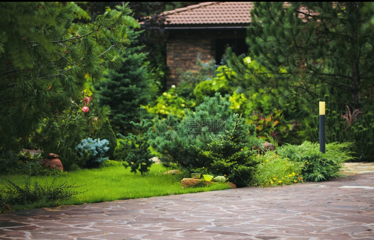 十多年前就听说她离婚了,原因是她老公出轨就提出离婚