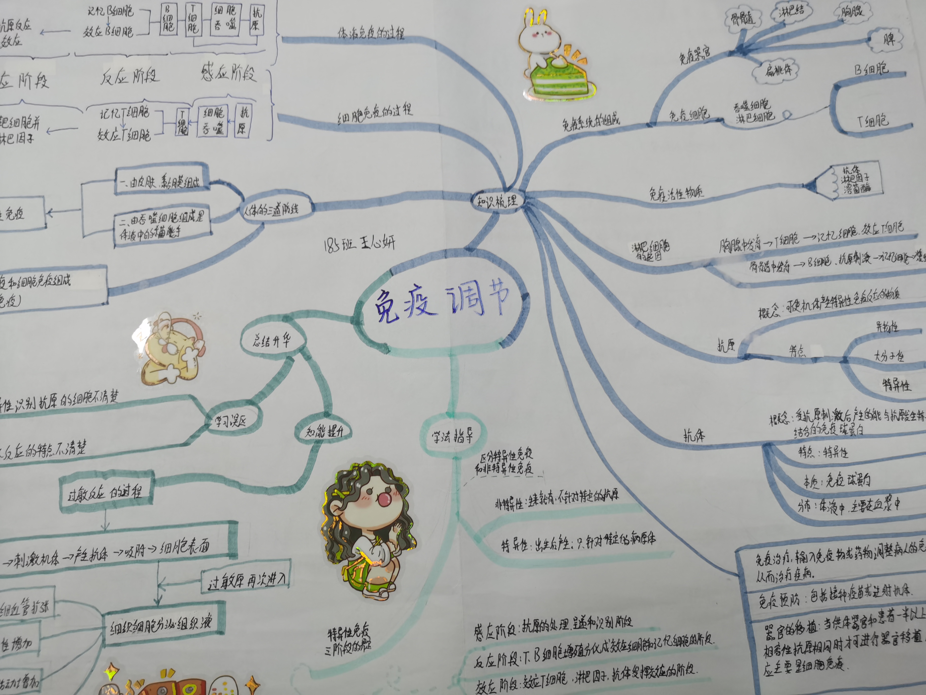 风格各不同的思维导图《免疫调节》人教版高中必修三