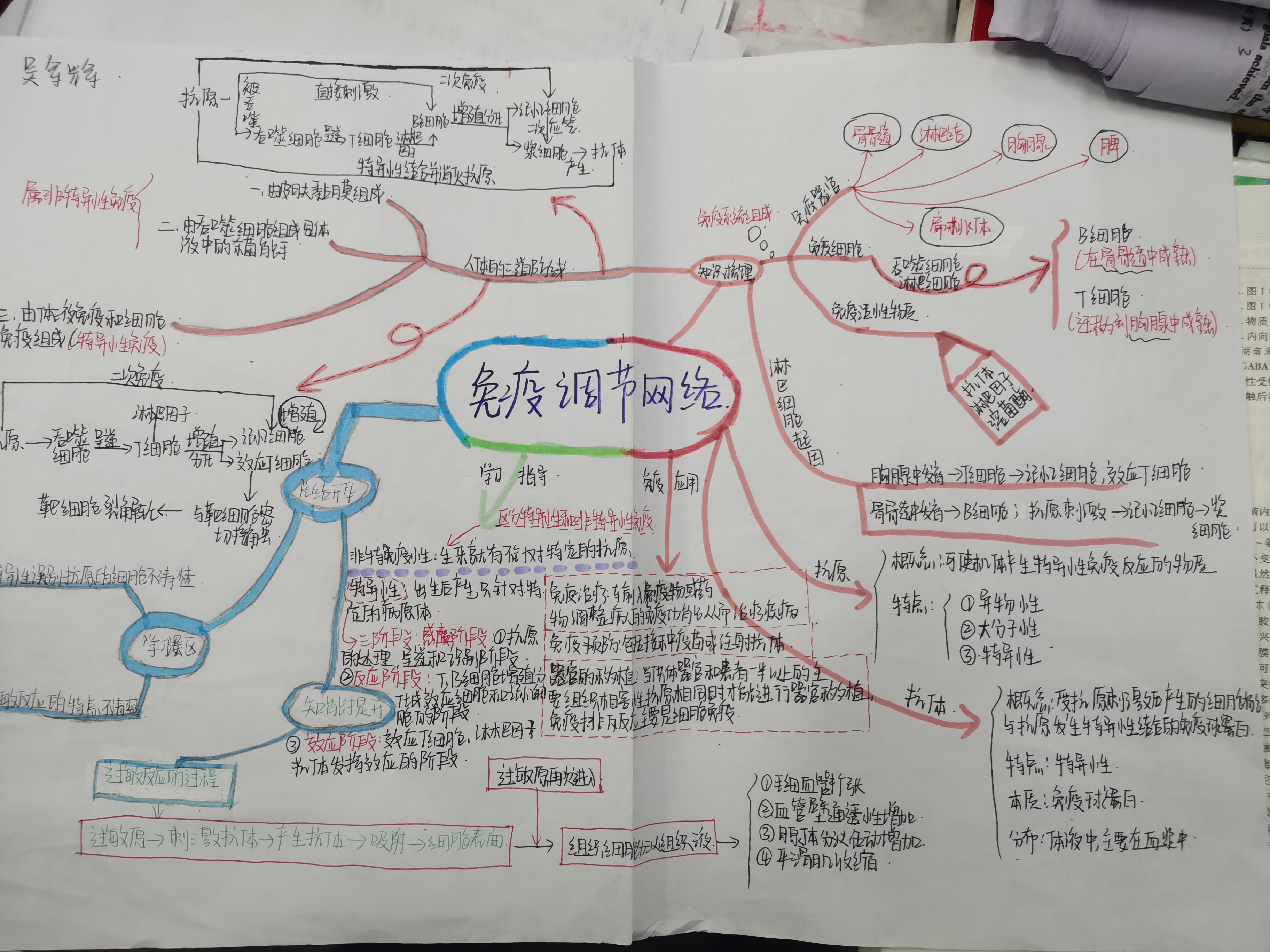 生物免疫调节思维导图图片