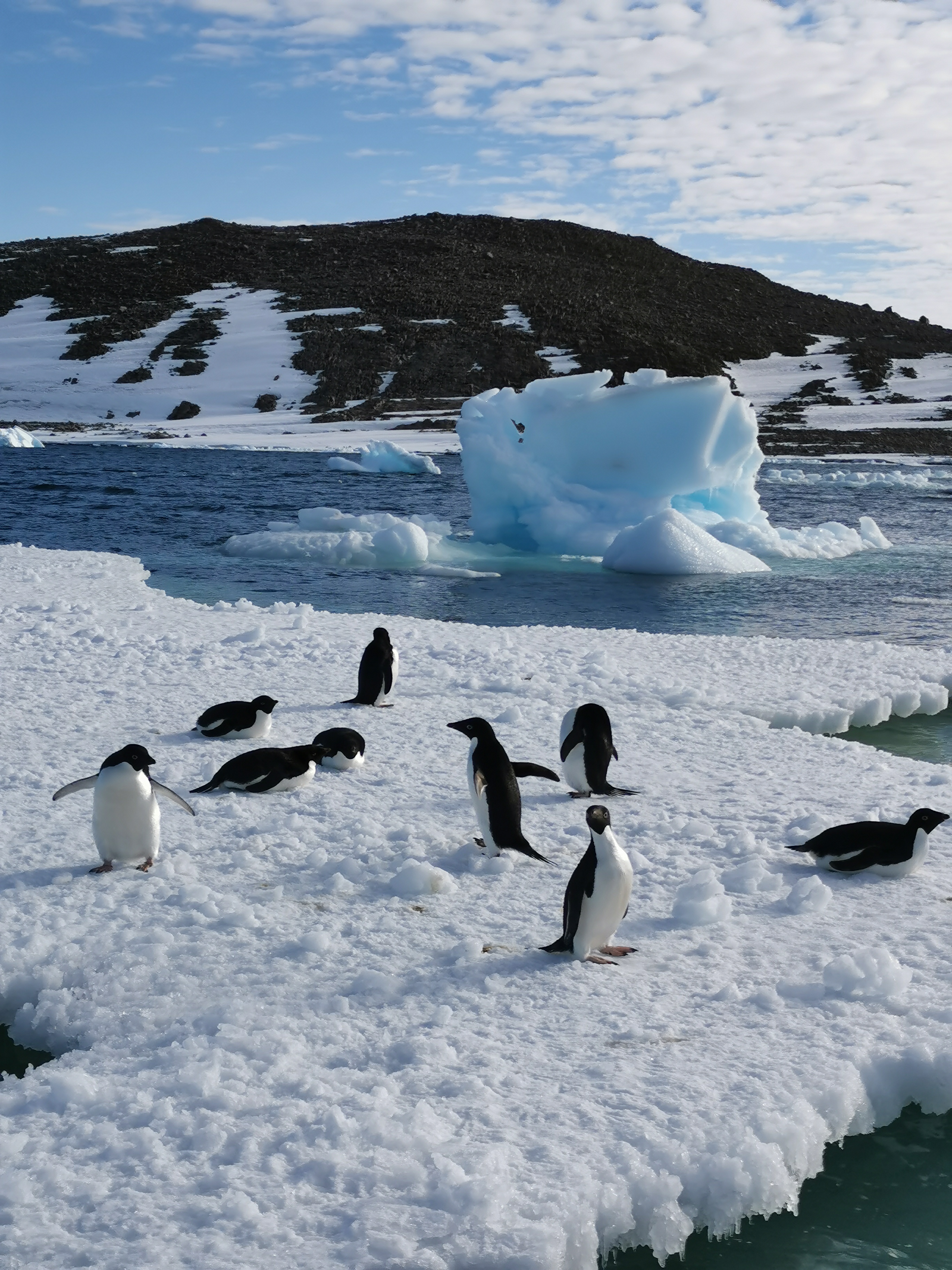 南极绝美照片,今年是之年之年,中国第40次南极科考之年,也是罗斯海