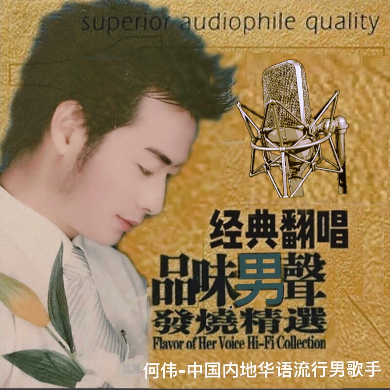 何伟-中国内地华语流行男歌手