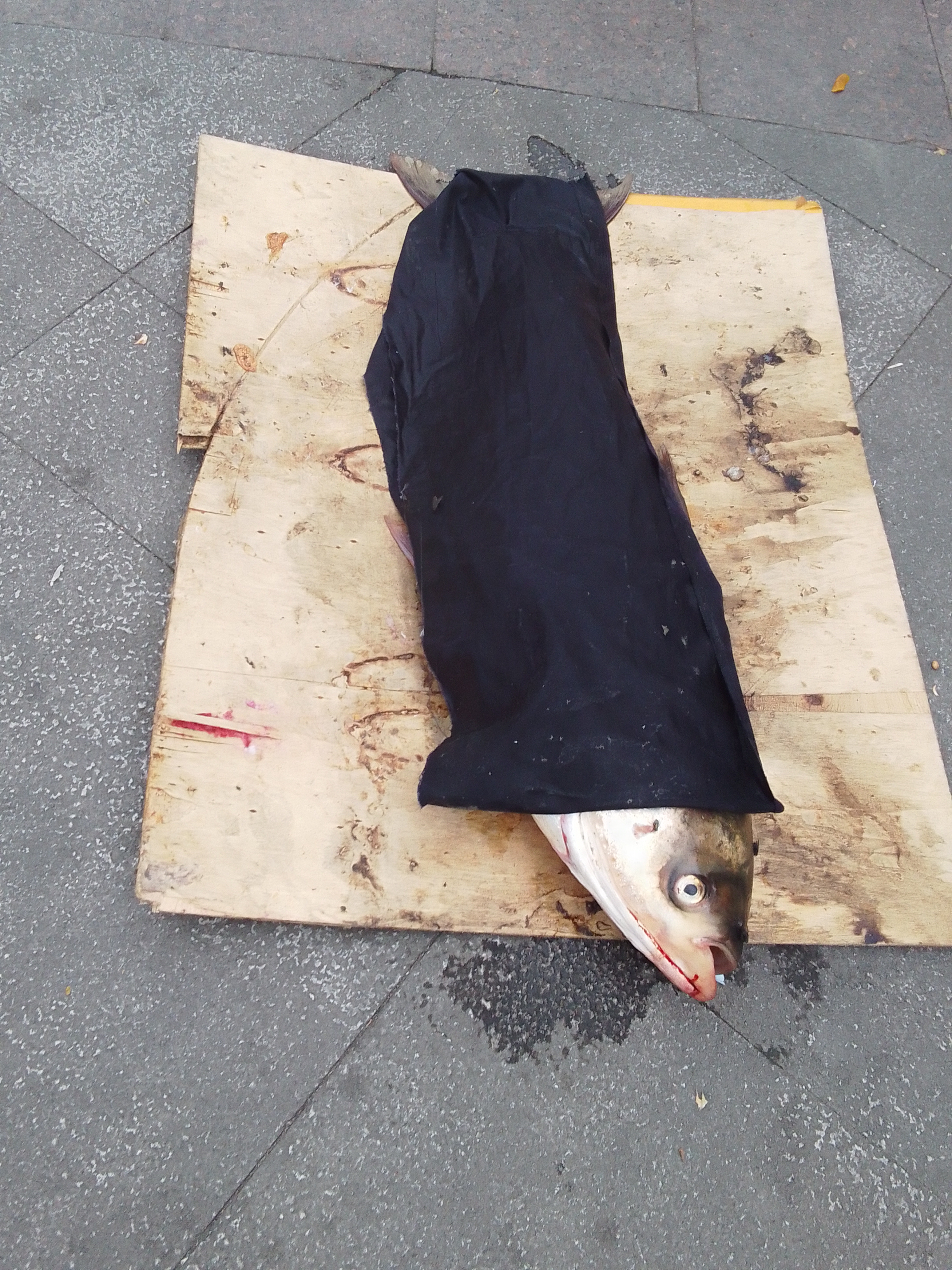 我也曾在这个无情世界来过,见证过风驰电掣的时间