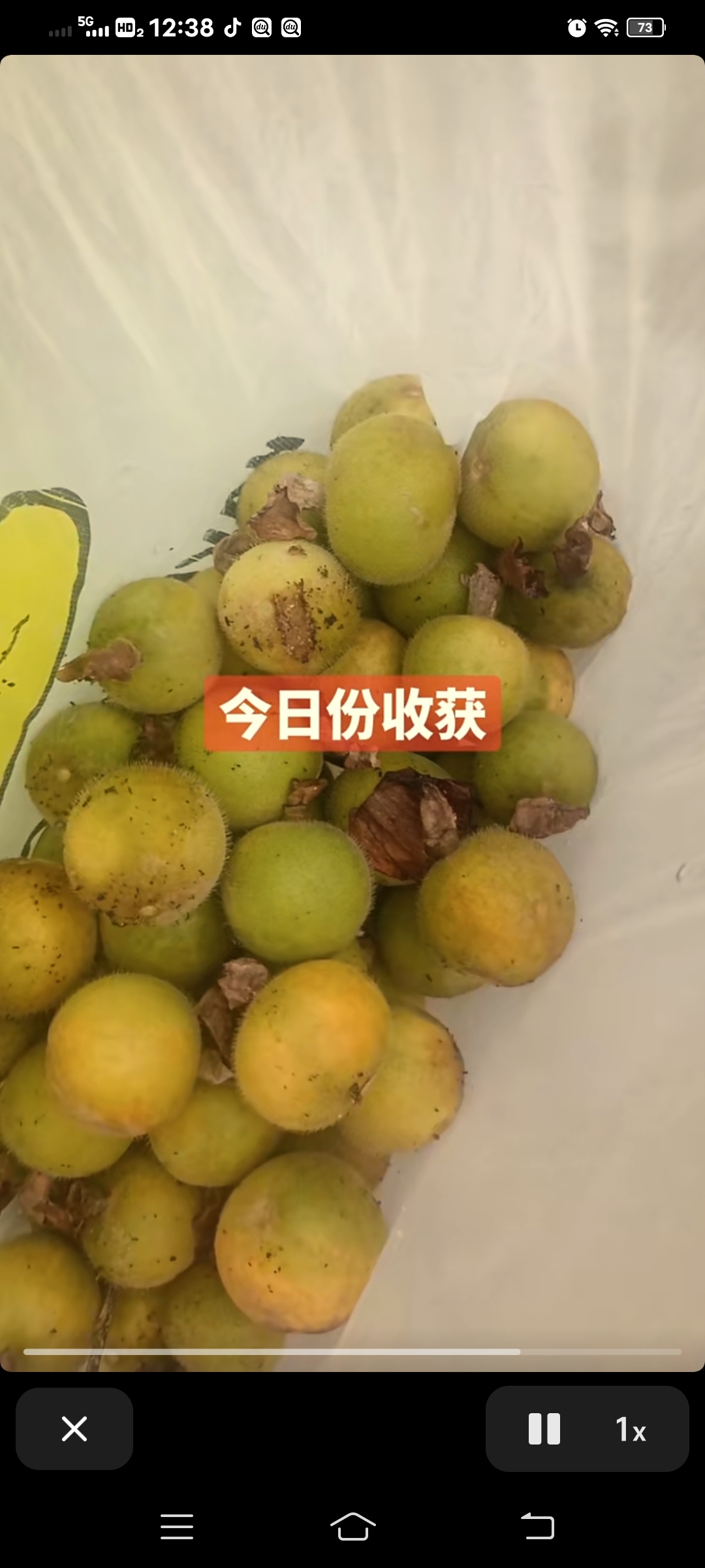 你们有吃过或者见过此果吗?这份来自大自然的礼物真是让人惊喜!