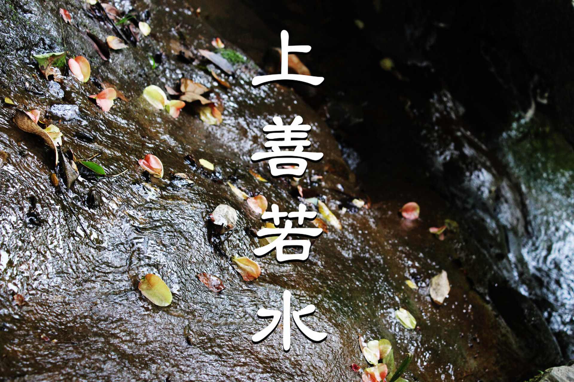 "上善若水,水利万物而不争" 是道家思想的经典之一,它给我们启示如下