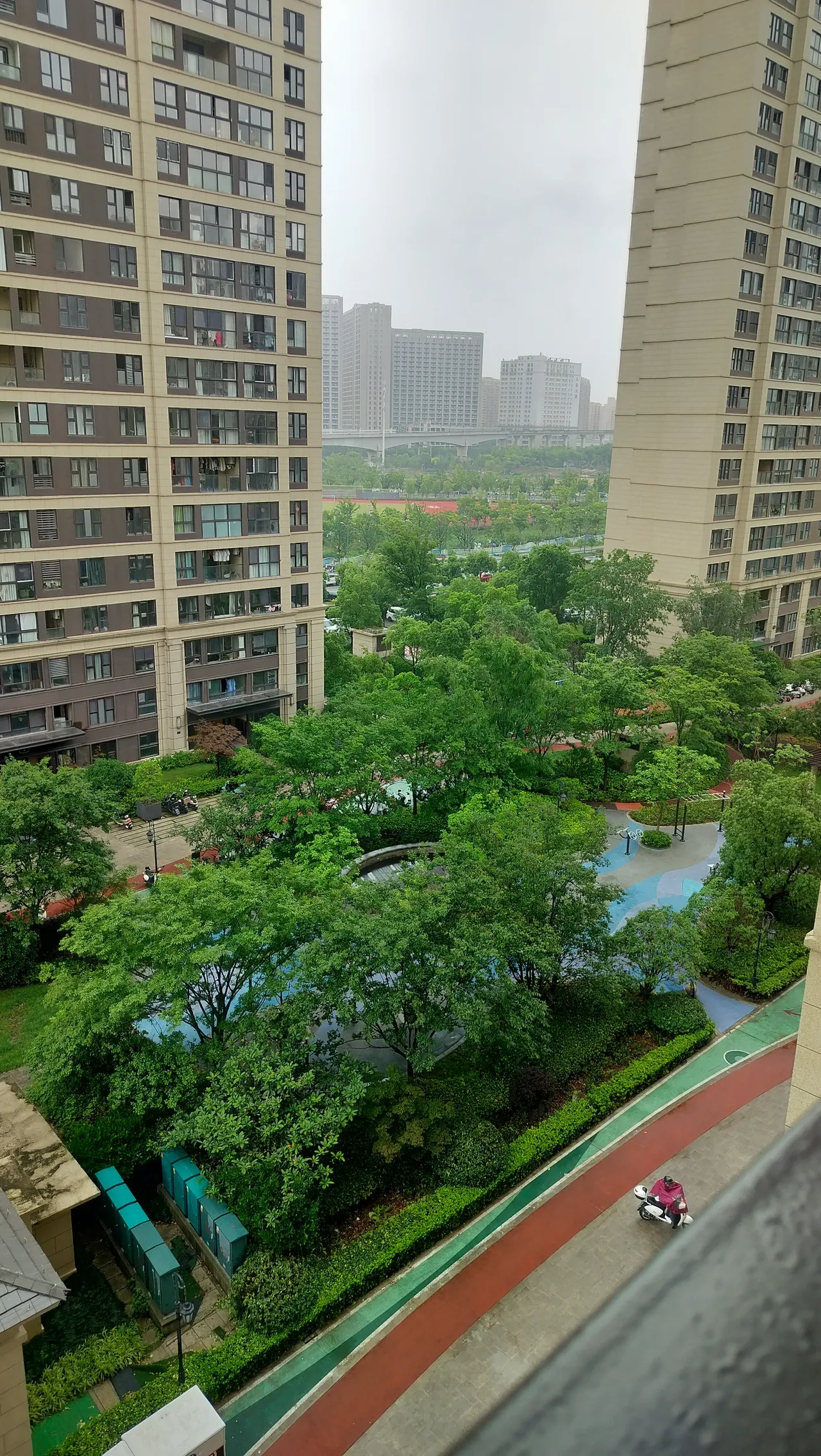 女儿说,老爸已经在小区捡了好多纸箱堆在家里,就等