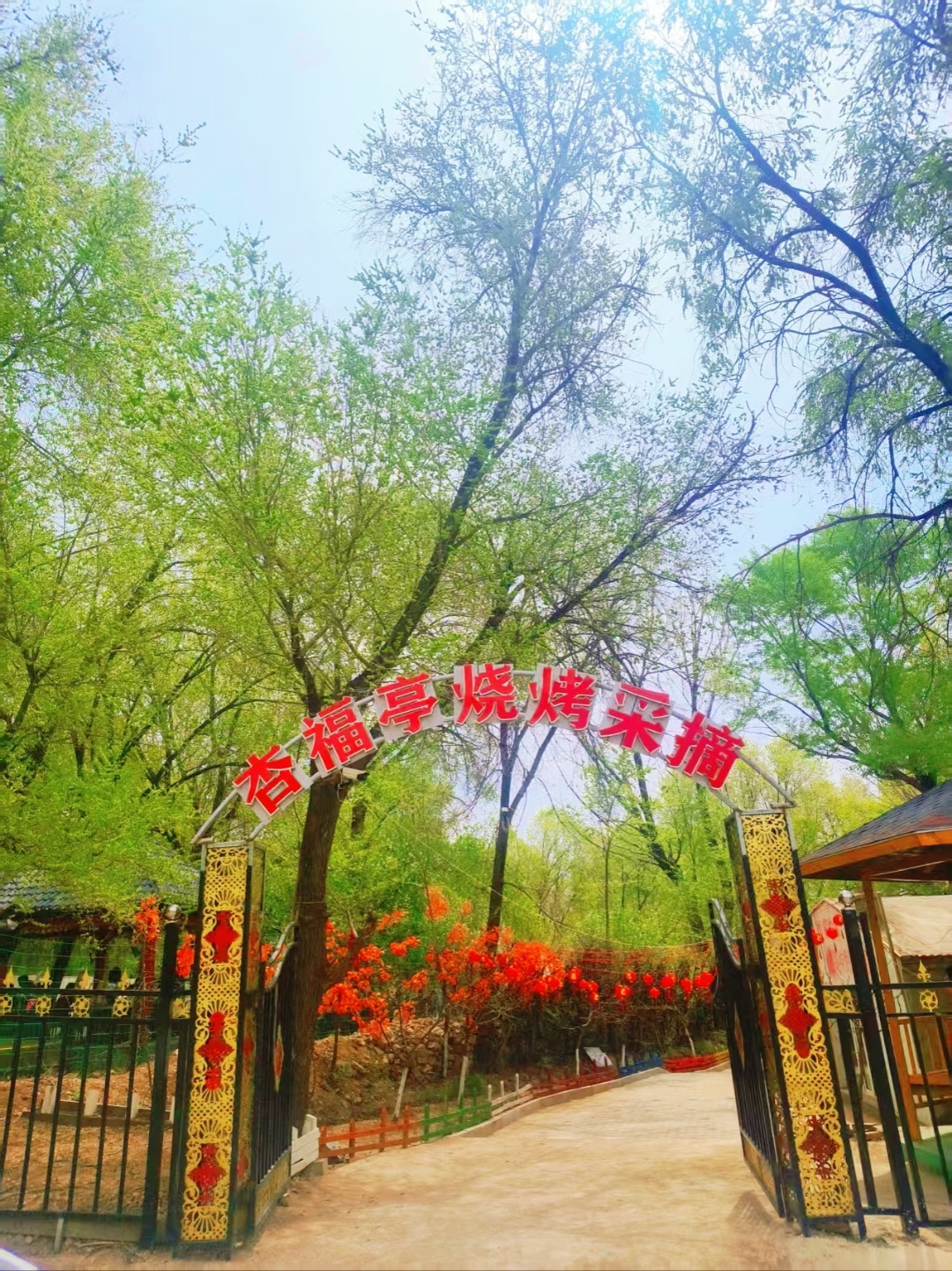 自助烧烤场地宽阔,环境优雅,带停车位,食材备用齐全