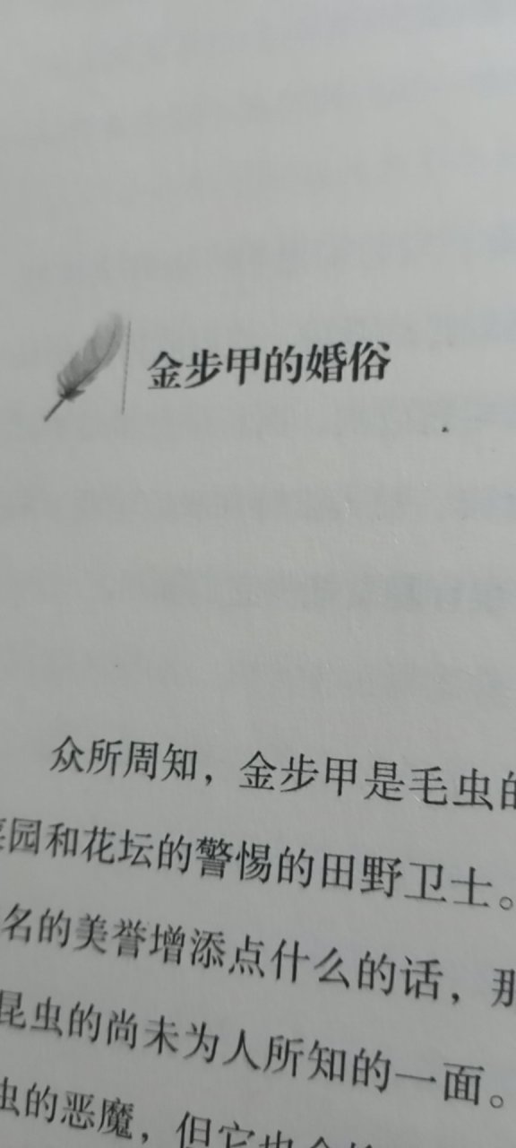 今天在看金步甲的婚俗时,有两片段真是令我的心一颤,顿时想明白了很多