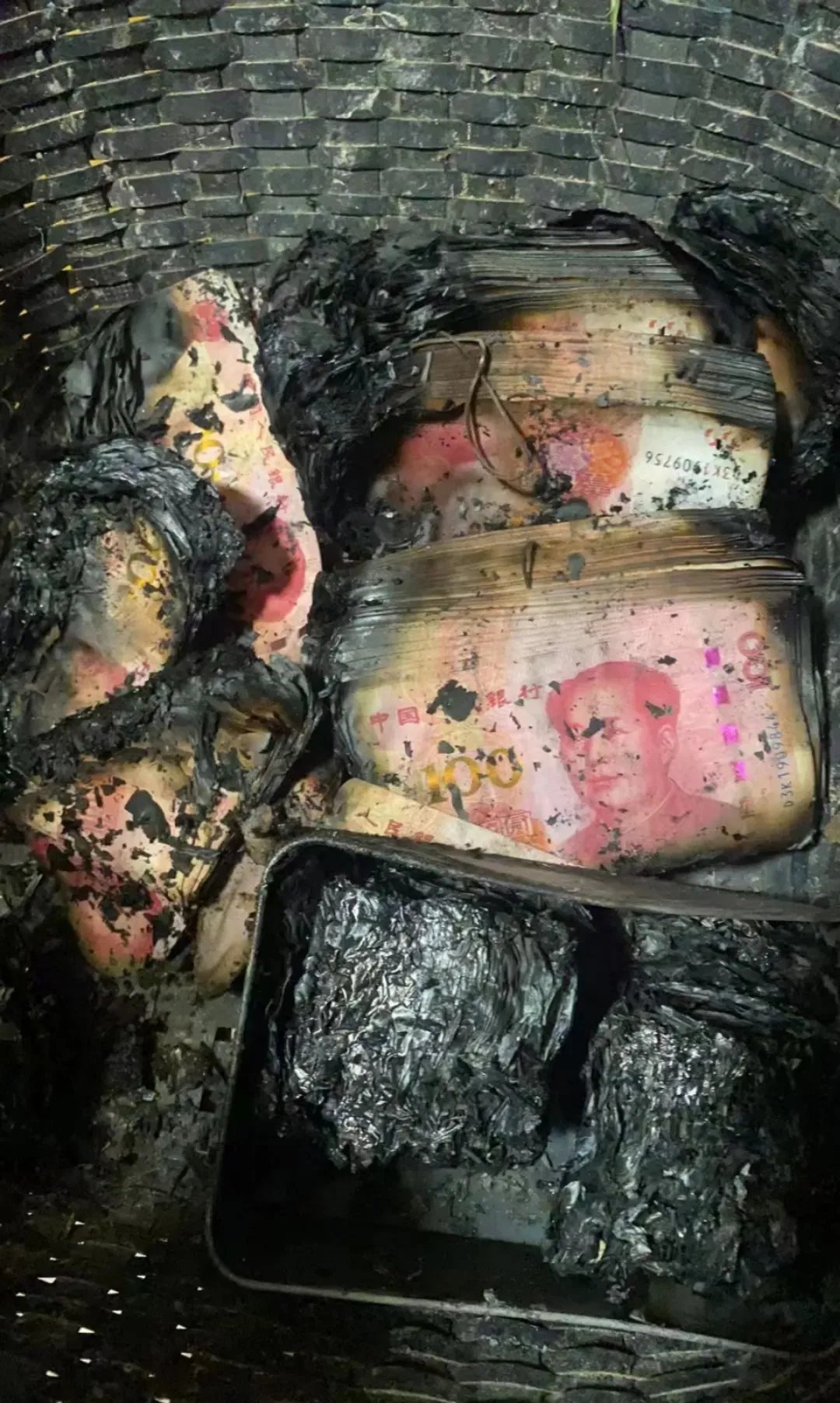 郑大叔今年已经75岁了,一辈子都在我们灰熊人灰熊人残骸照片灰熊人