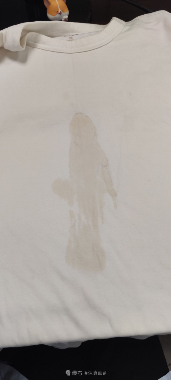 这个衣服毁了,准备diy一下,你们觉得这个咖啡渍像个啥啊