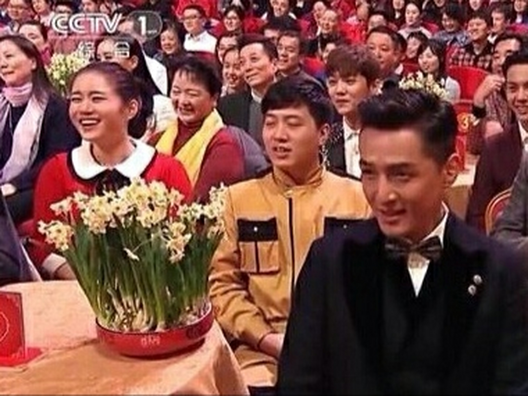 2018-2021年,四年春晚的水仙花都长得一样,春晚的水仙花是循环利用吧?