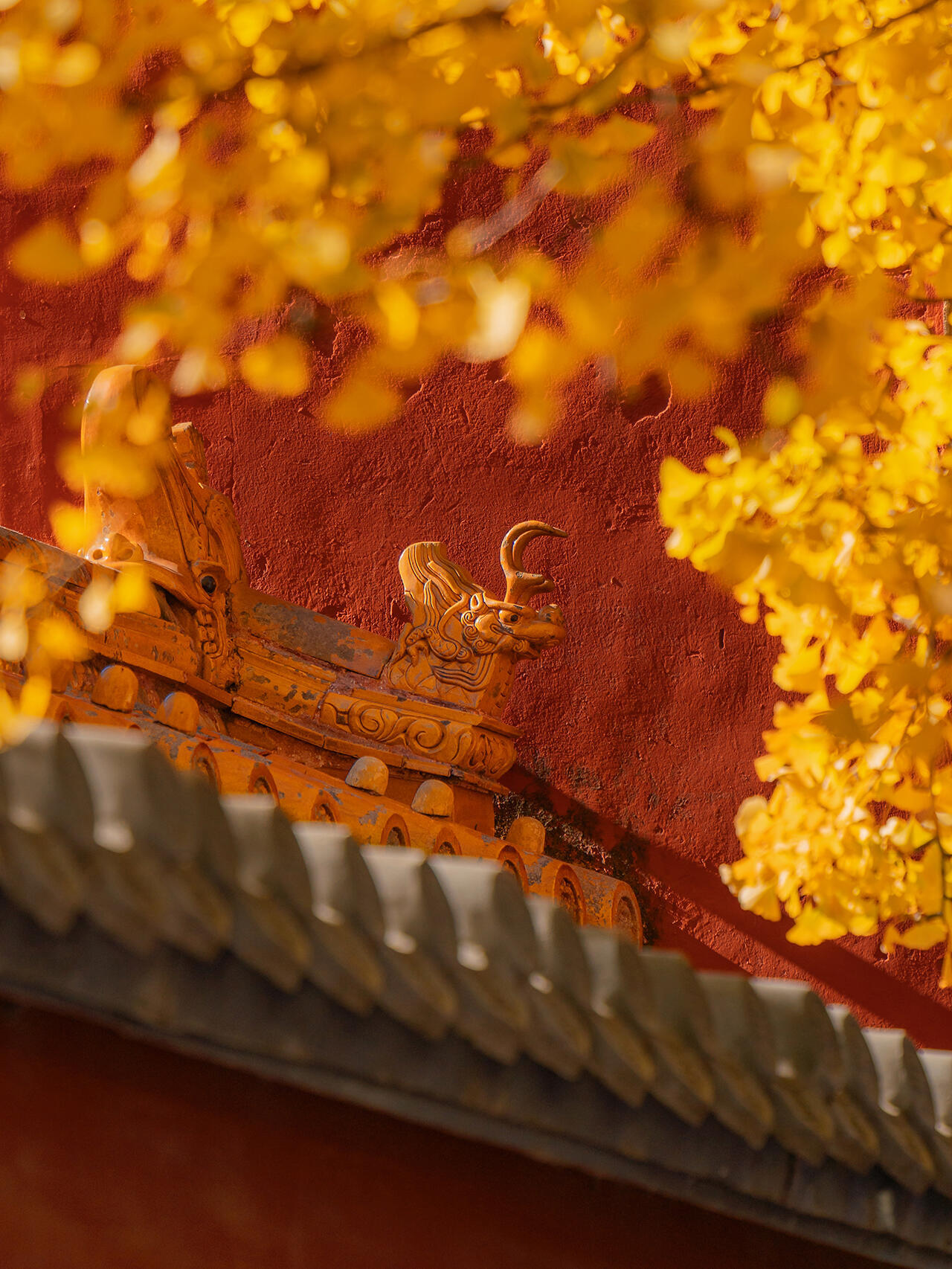 为什么喜欢秋天 为什么喜欢秋天