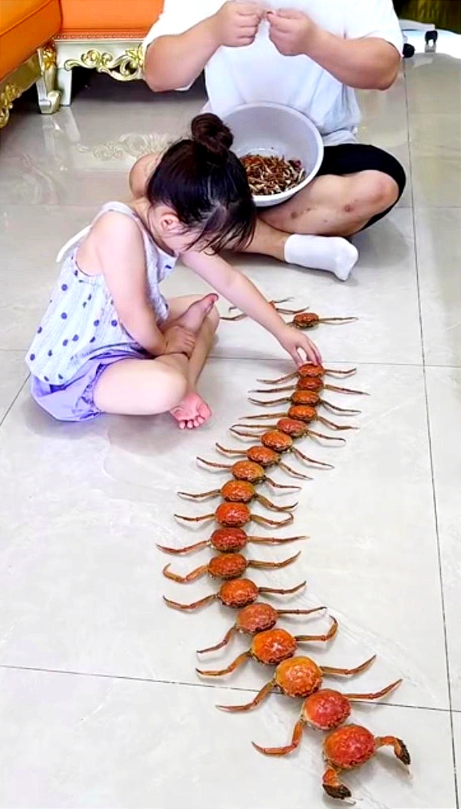 这个小女孩创意非凡!竟把螃蟹改造成逼真的长蜈蚣,令人称奇点赞