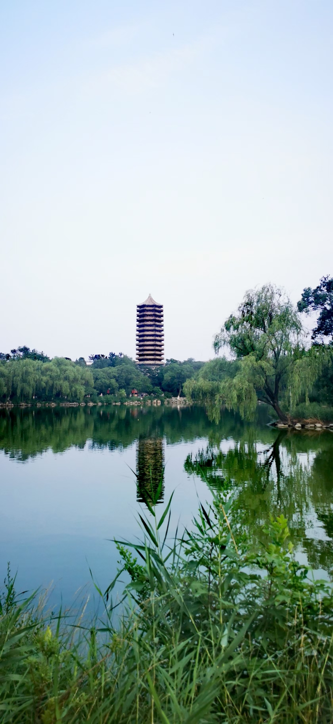 北京大学的校园