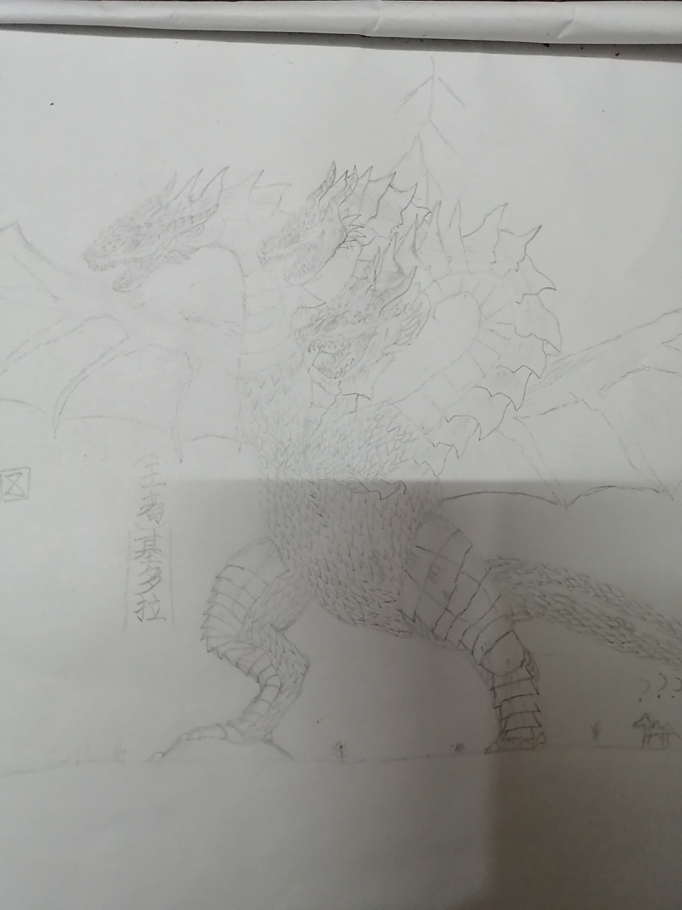 新手上线,多多指教,王者基多拉