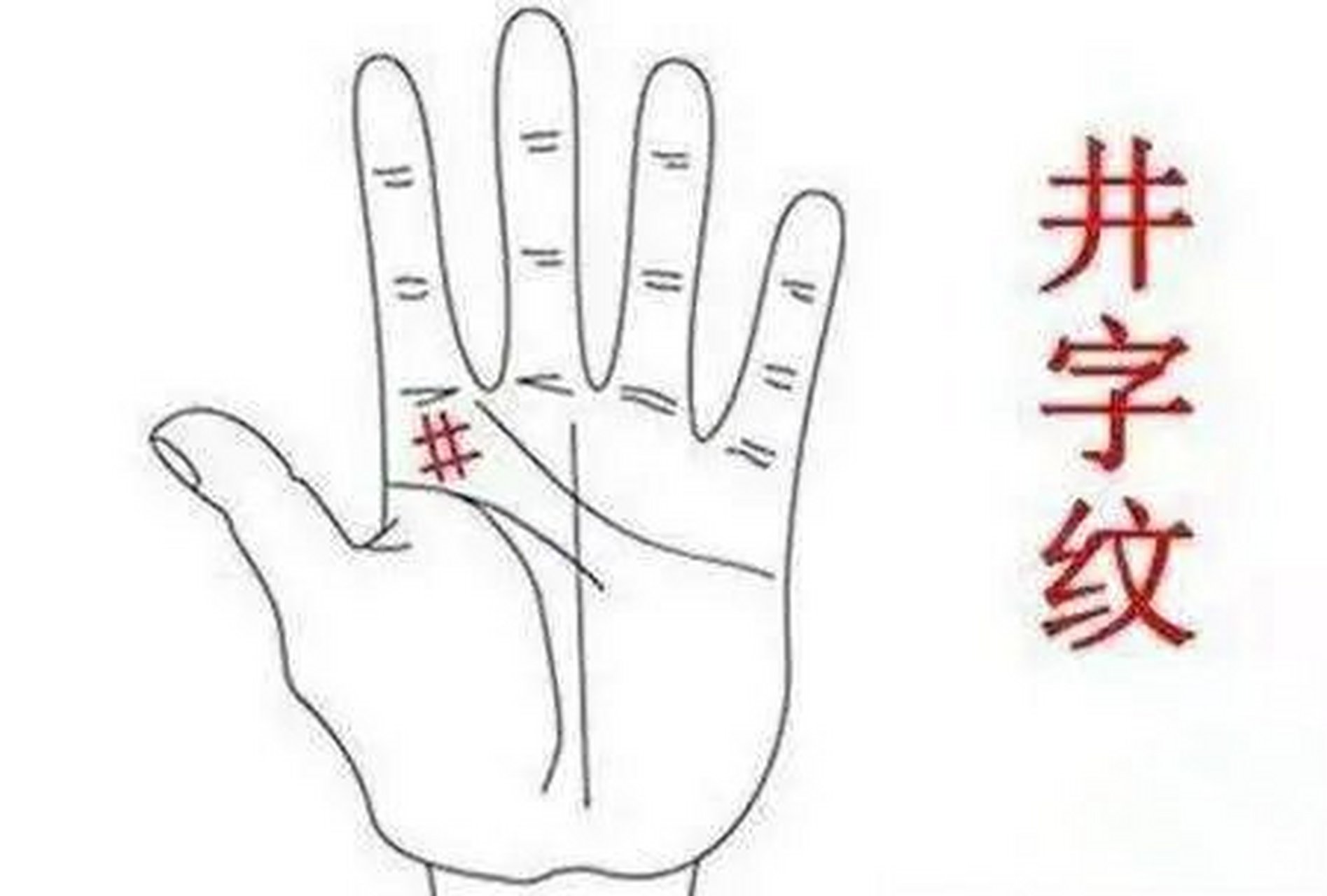 拥有玉井纹之人  一般的井字纹都是比较小的,由小杂文和小细纹构成