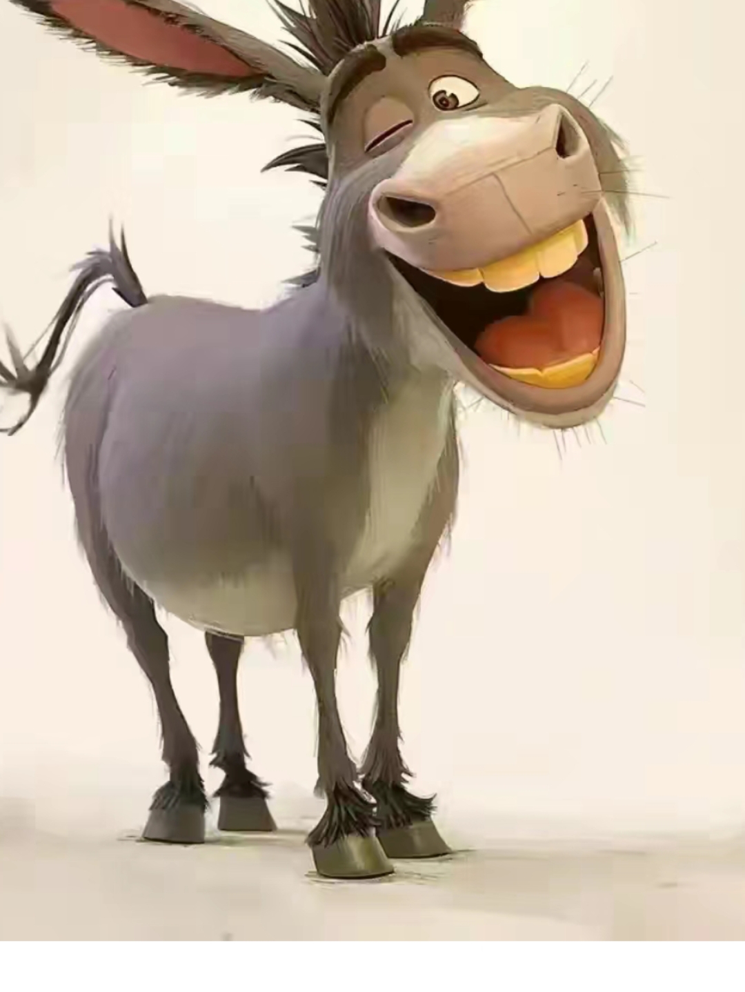 它的耳朵尖锐如刀,笑容灿烂如阳光