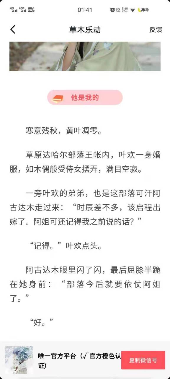 《叶欢靳浔》又名《叶欢靳浔阿古达木》小说全文在线阅读【大结局已有