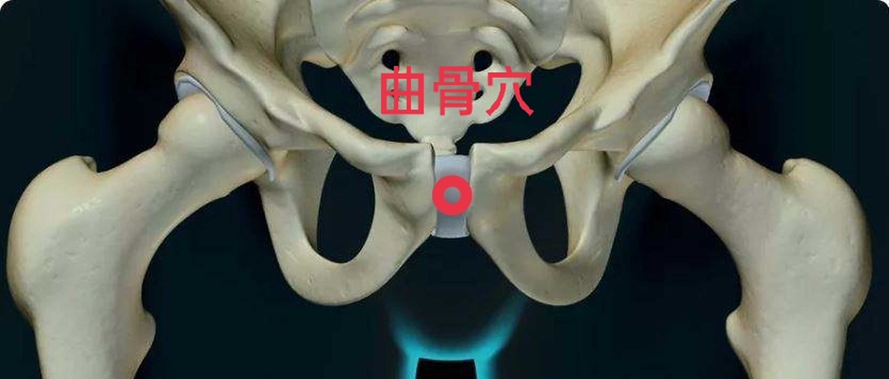 曲骨穴 #穴位# 曲骨穴(耻骨)位于耻骨联合上缘中点处,是肝经与任脉之