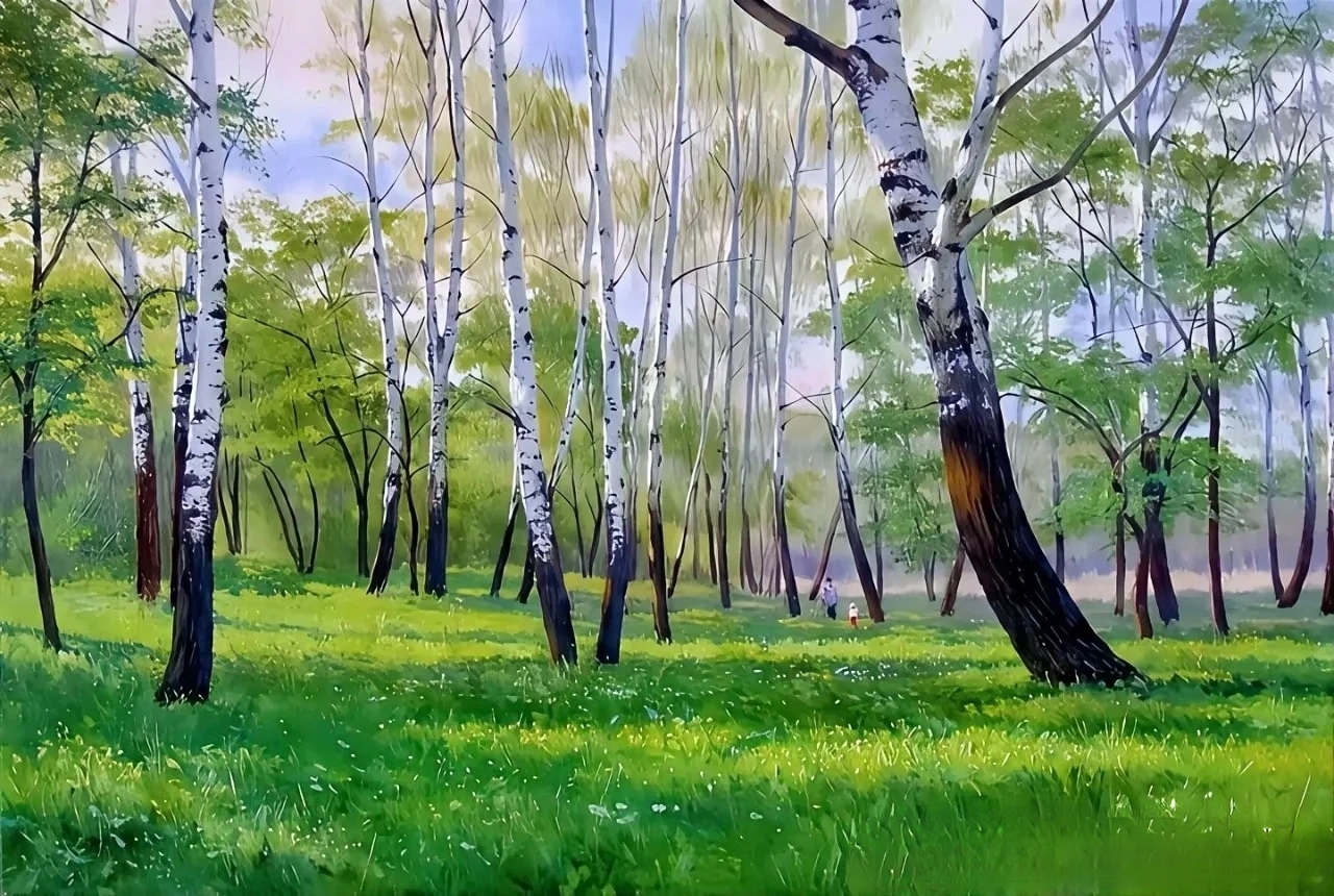 这是一组描绘白桦树林的风景画,实体信息主要是白桦树