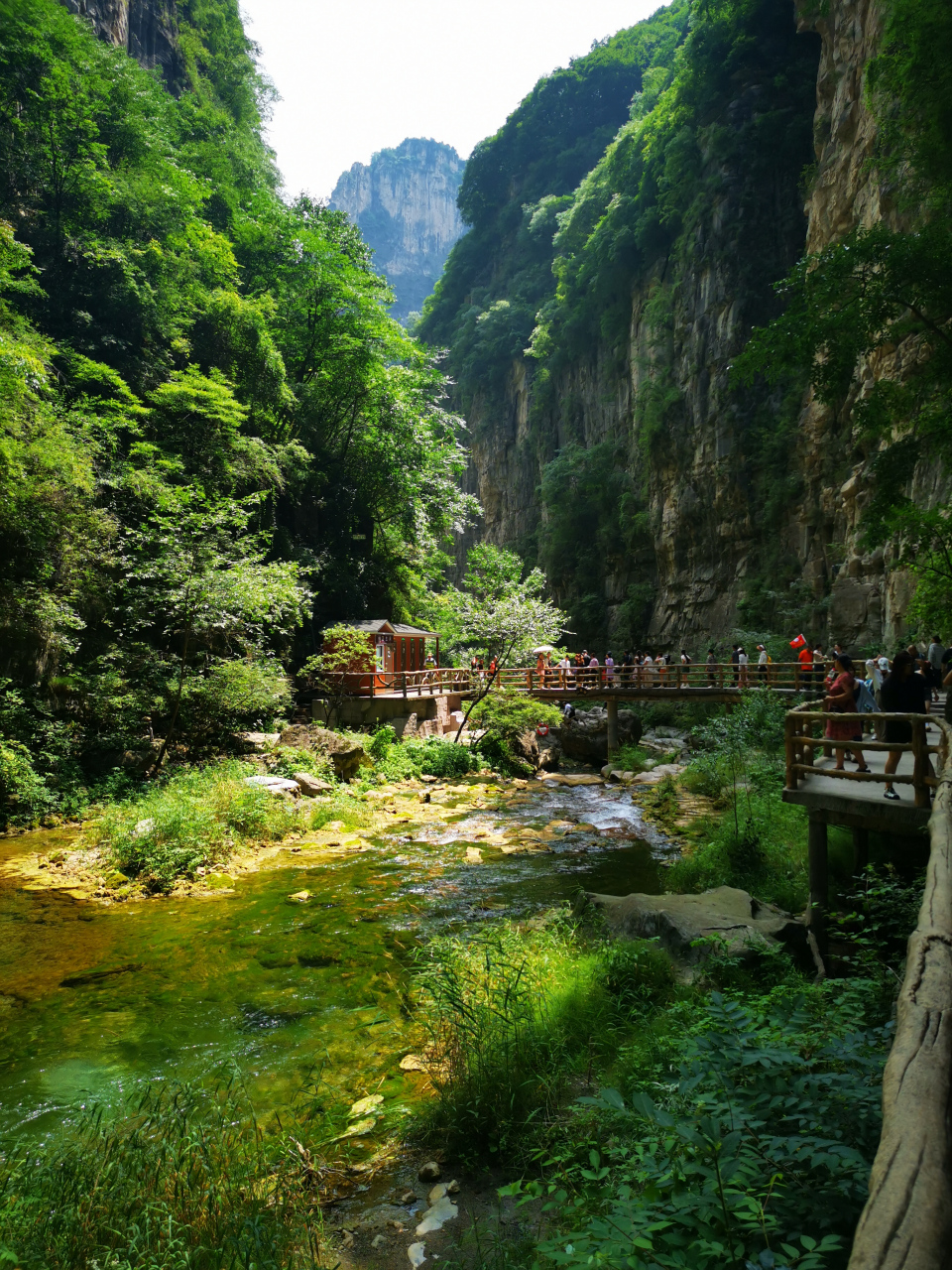 这次真的被河南安阳太行大峡谷美哭了,山势险峻,苍翠挺拔,溪流时缓时