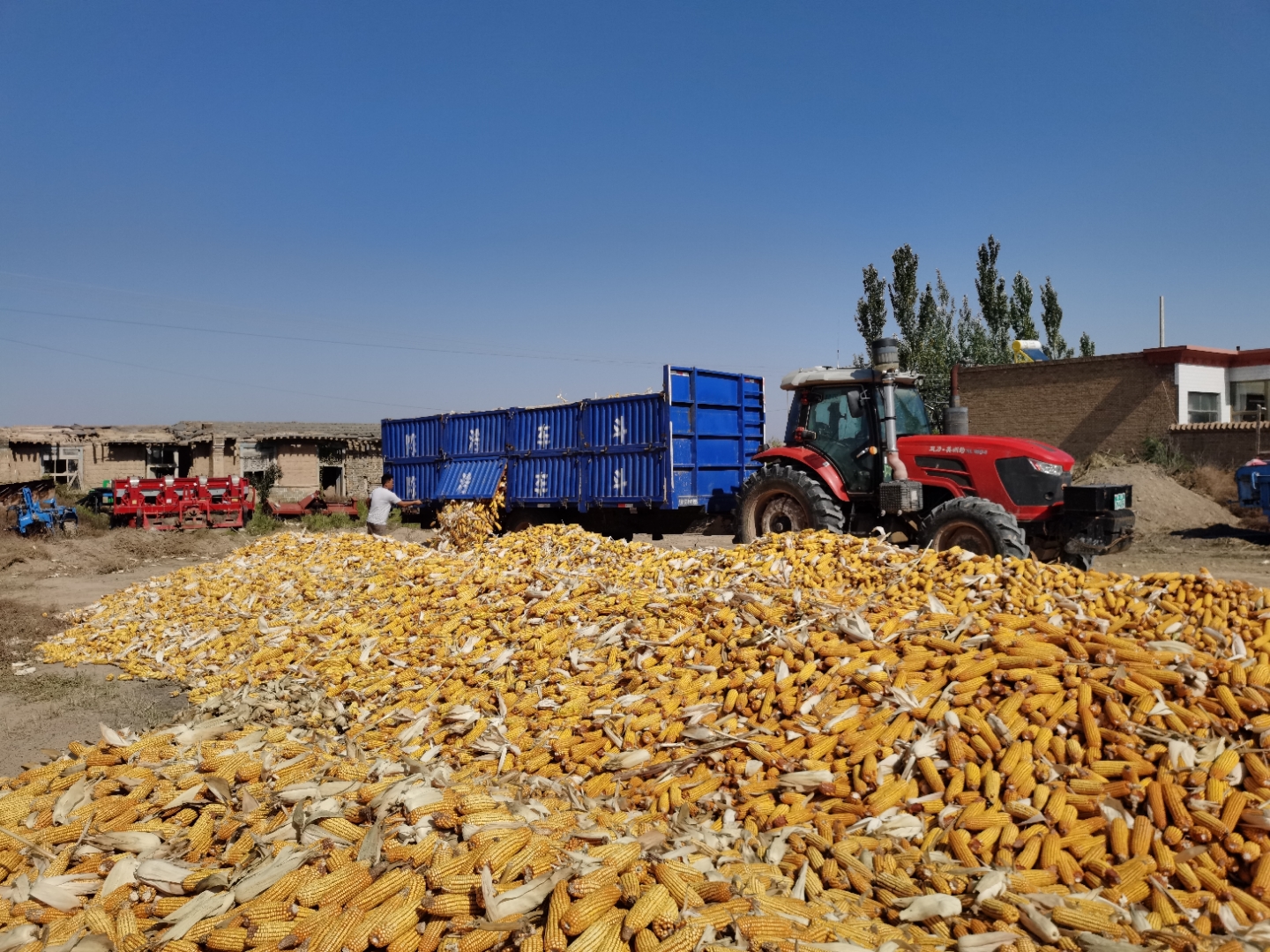 我国国家级种业基地供种保障率达到80%